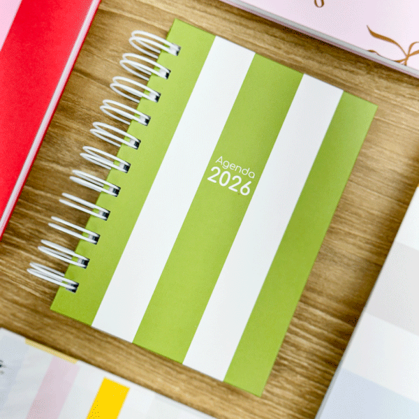 Mini Agenda 2026 - A6  (2 dias por página)